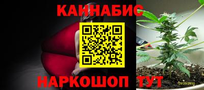 трава Пенза