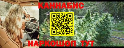 spice Партизанск