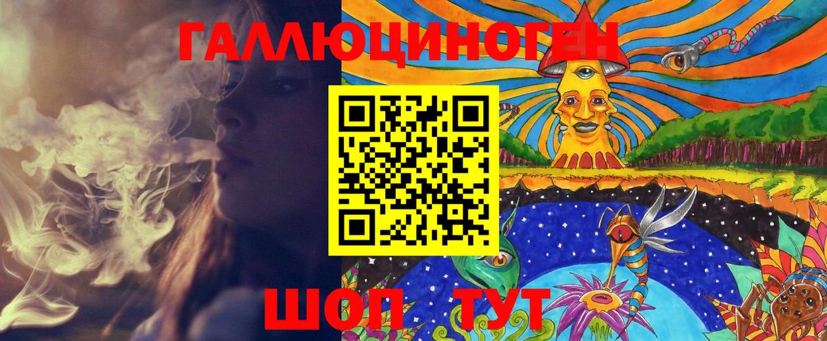 Псилоцибиновые грибы Psilocybe Норильск