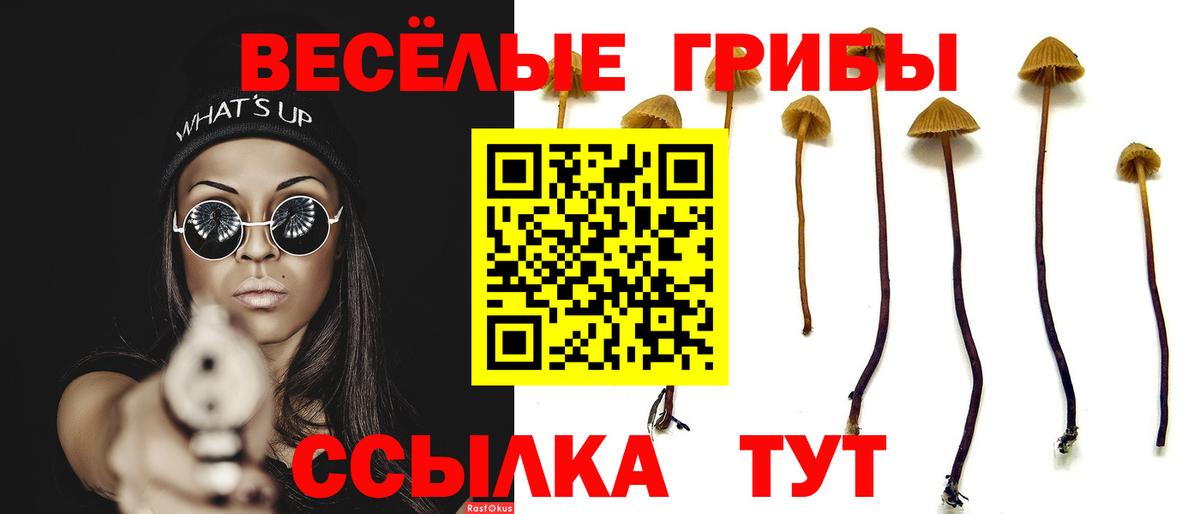 купить   Вход с VPN  Норильск  Псилоцибиновые грибы Psilocybe 